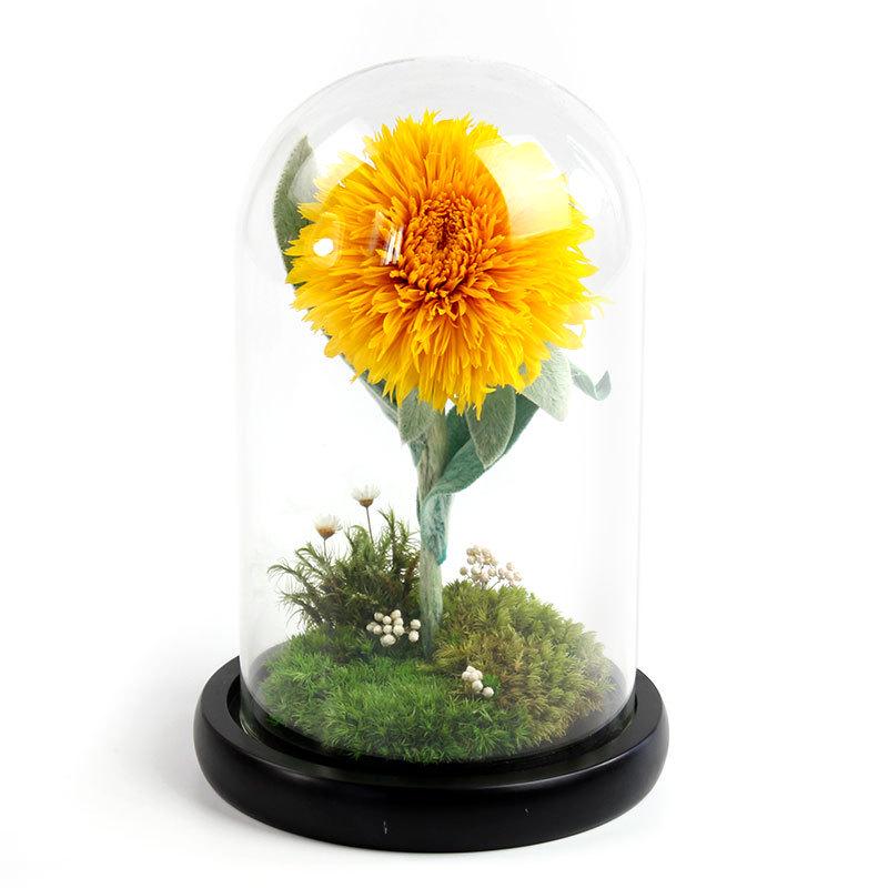 Sunflower Preserved Flower Glass Dome – Creative Real Flower Gift for Teacher's Day