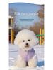 Reflective Thickened Winter Vest for Small Dogs: Teddy & Bichon