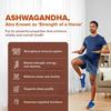 Jiva Ashwagandha Tablets 500mg 120 Tablets Pack of 3 Pure Herbal Supplement for Energy & Vitality