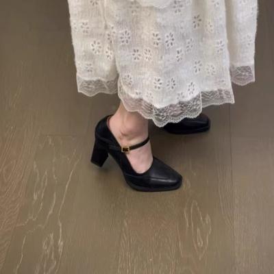 Женские туфли Мэри Джейн с острым носком 2025 года на толстом каблуке, элегантные и универсальные, темпераментные, коричневые