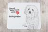Bichon Bolognese, Bolo, Botoli, Bottolo - mouse pad with print, personalized dog-themed mouse pad, unique gadget for an office worker by Art-Dog brand