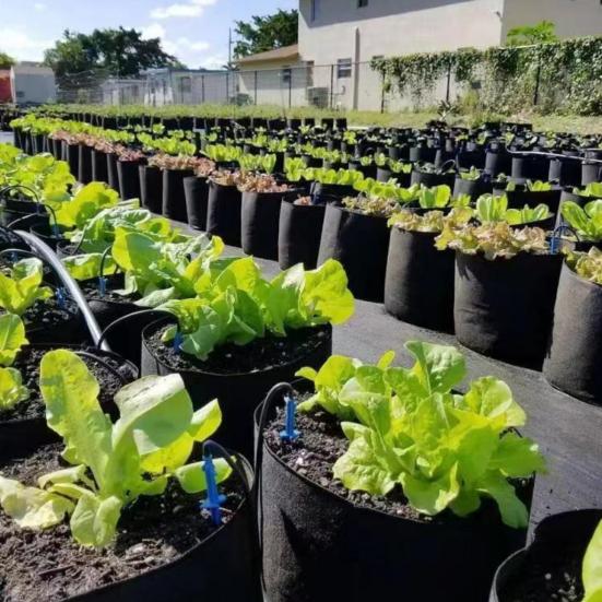 Нетканый мешок для посадки, уличный садовый горшок для растений с усиленными ручками, дышащий мешок большой емкости для выращивания помидоров и картофеля