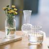 Exquisite Hydroponic Vase Striped Glass Flower Arrangement Vases Tabletop Decorations Living Room Bedroom Floral Plant Bottle