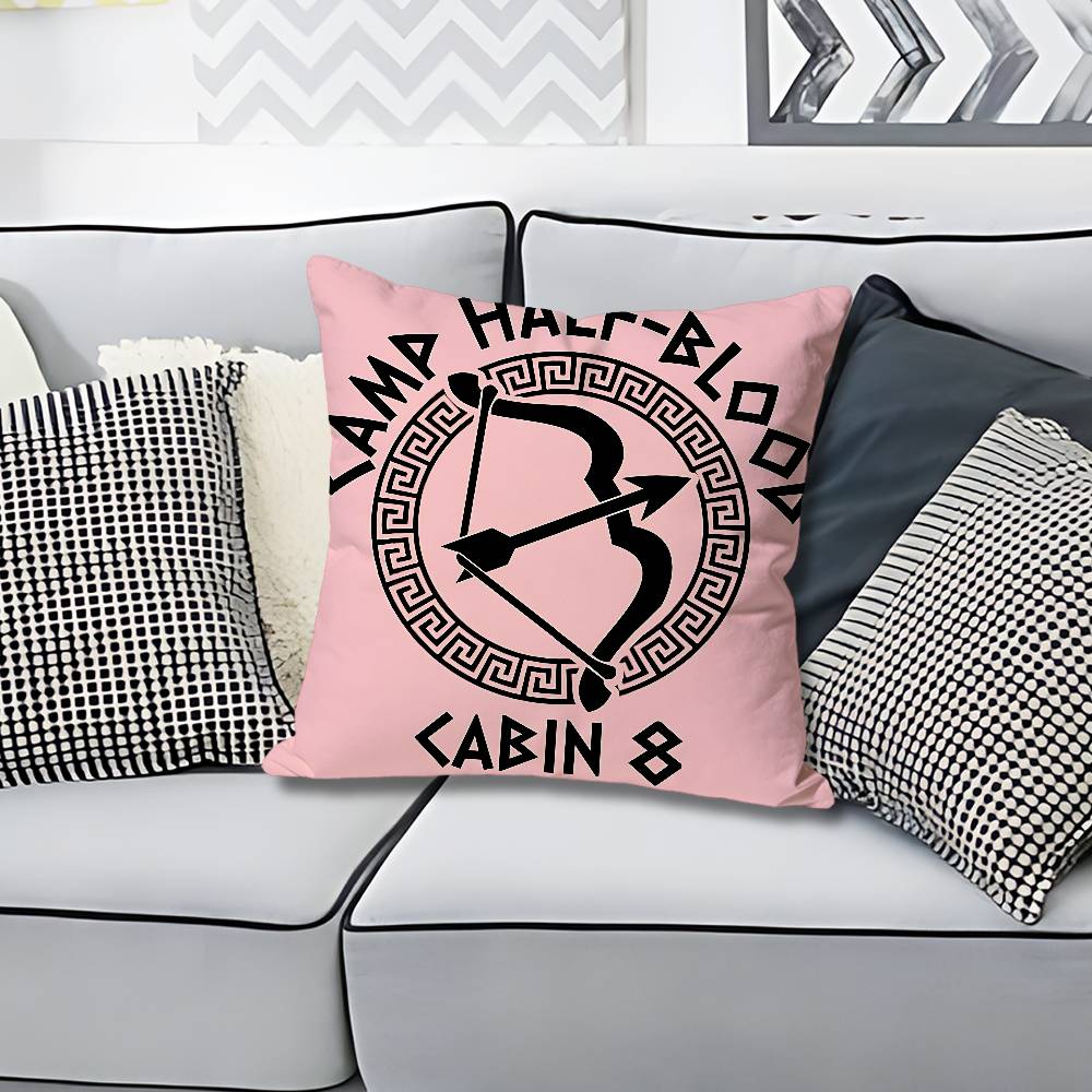 SPQR CCamp HHalfBBloods CHB Various Sizes Square Pillow Case For Car Home Bedchamber Decor Custom Valentine gift