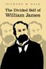 Книга The Divided Self of William James