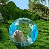 Transparent Hamster Exercise Ball Traction Rope Pet Supplies New Running Ball