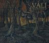CD VALI Skogslandskap AB059CD AUERBACH 201 Германия Рок Б/у