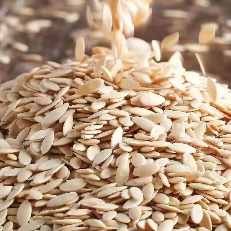 Семена огурцов OKYAIOS Семена огурцов из Северо-Восточного Китая, 500 г, 1 шт.