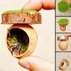 Magnetic Spider Hide Cave Mini Magnetic Spider Habitat Jumping Spider Shelter  for Mantis Tarantula