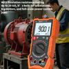 Digital Insulation Resistance Tester, Electronic Megohmmeter, 1000V High-Precision Megaohm Multimeter  ZOYI 1000R