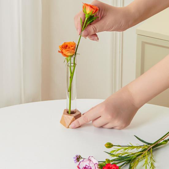 Test Tube Vase Glass Hydroponic Vase With Wooden Stand Desktop Transparent Tube