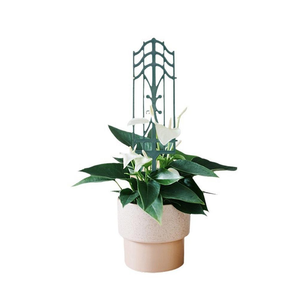 Indoor Plant Trellis Plastic Support Convenient Indoor Plant Trellis Helps Climbing Flowers Grow Strong And Healthy