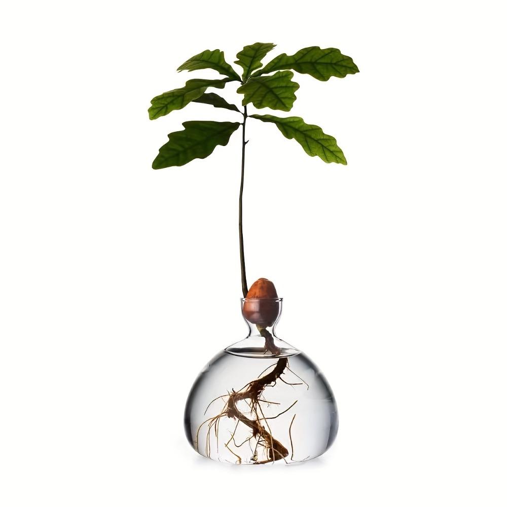 1pcs Sprouting Seed Starter, Planter Vase Glass Container, Planter Acorn Tree Grow Kit Decorative, Glass Bulb Spreader Vase, Unusual Gardening Gift