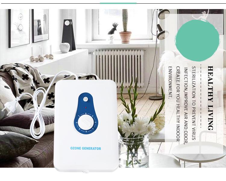 600mg Ozone Generator Fruit and Vegetable Purifier for Home