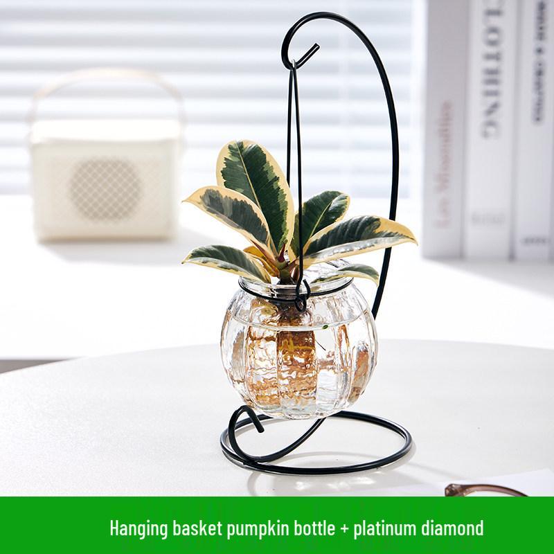 Indoor Desktop Murraya: Easy-Care Blooming Green Hydroponic Plants for Office & Living Room