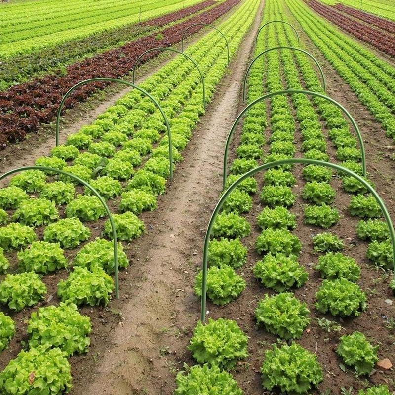 Greenhouse Hoops Frame Tunnel Kit 10pcs Hoops for Garden Netting Rust-Proof Coating Plant Support Stakes for Frost Protection