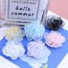 Peony Resin Jewelry & Accessories DIY Pack: Hair Clip, Headband, Phone Case