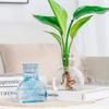 Transparent Hydroponic Plants Vase Imitation Glass Nordic Flowerpot Plastic Flower Bottle  Home