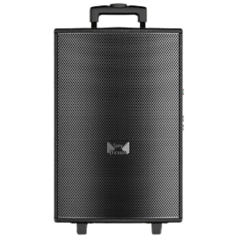 Suoai 8-дюймовая портативная KTV-колонка с двумя микрофонами