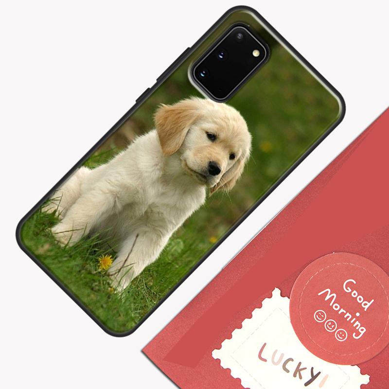 Golden Retriever Dog Phone Case For Samsung Galaxy S24 S26 Ultra S20 S21 S22 S23 S25 Plus S10 S25 FE Cover Shell