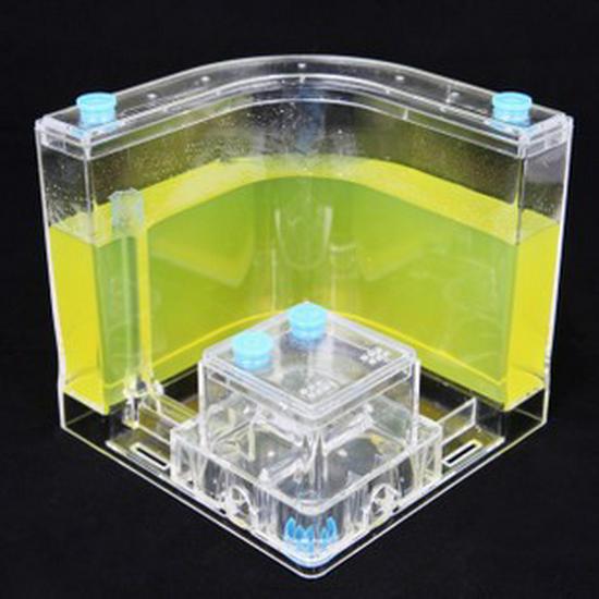 Ant Castle Ecosystem Toy with Free Shipping (Excludes Remote Areas)