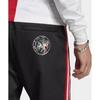 Adidas Спортивные штаны Ajax черные In4718