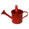 Kettle Ornament Drop-resistant Opening Design Creative Decorative Galvanized Iron Flower Planting Pot Watering Can Home Garden KTY