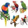 Водонепроницаемые милые наклейки с попугаями, красочные наклейки с птицами и животными, тематический стиль, декоративные наклейки