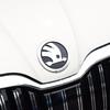 2025 Hot 8/9/10cm 3D Car Emblem Badge Hood Front Rear Trunk Logo For Skoda S Fabia 1 2 Octavia a7 RS Superb Rapid Yeti Karoq Vis