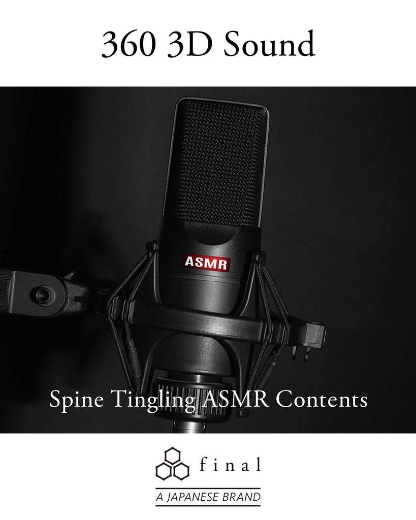 Final E500 In-Ear Earphones VR Binaural ASMR