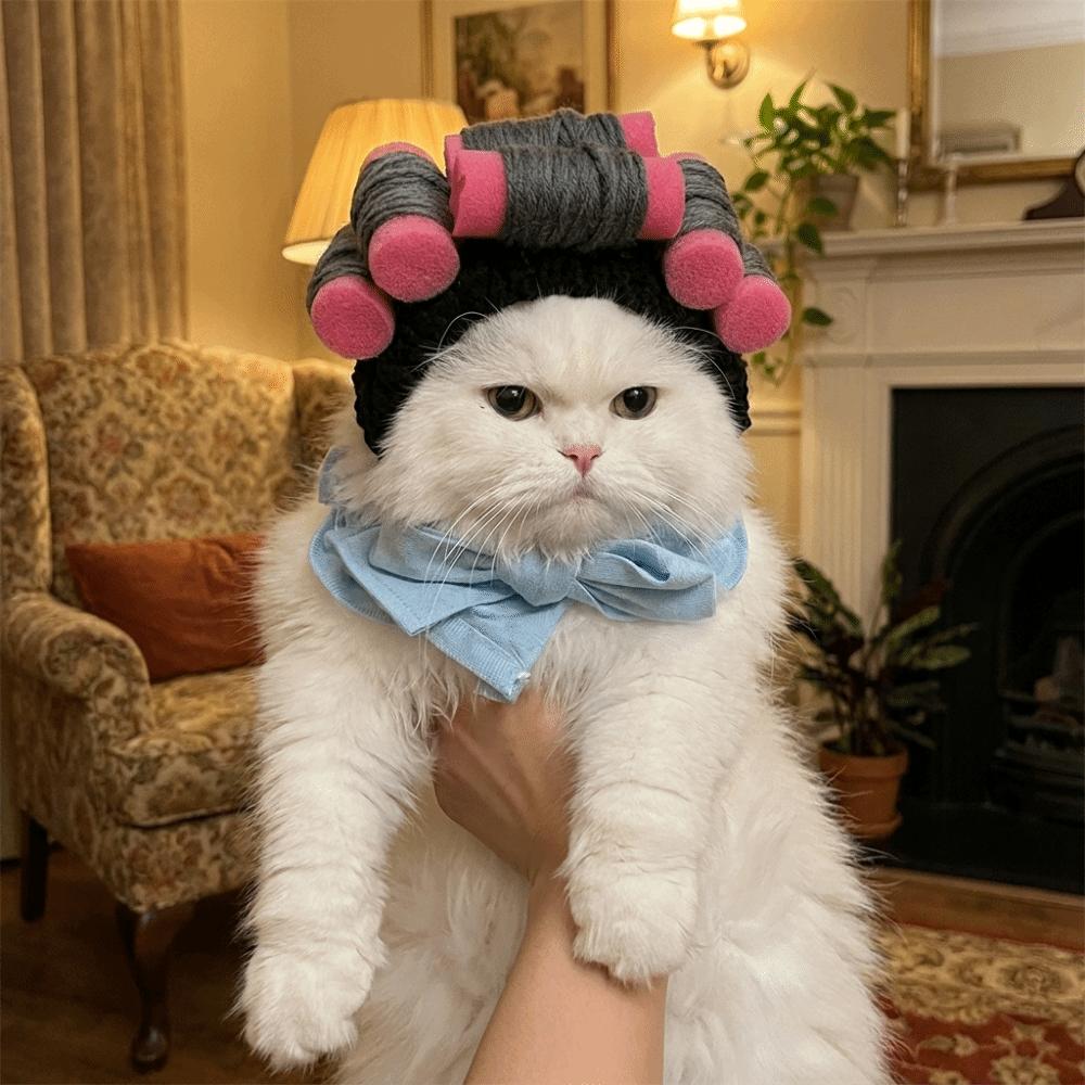 Curly Hair Curly Hair Dog Hats Soft Pet Headgear Cat Hairdressing Costume Photography
