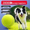 Elastic Dog Teething Tennis Ball - Interactive Outdoor Training Toy for Puppies