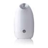 Steamer Facial Device Face Steamer Skin Care Nano Ion Nano Ion Facial Beauty Steamer Deep Cleansing Care Thermal Care Pore Care Darkening of Pores