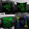 Модный бренд RRAZERR Наволочка-подушка Элегантный комфорт Наволочка для дивана-кровати Двусторонняя печать Невидимая молния Декор для дома