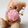 [Petit Luu] Choose Your Initial Plush Toy Gift Set, Initial tete Chocolat Flower Gift D