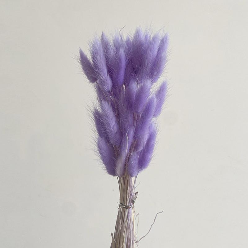 50 шт., букет из сухоцветов с изображением кролика и хвоста кролика, декор для свадебной вечеринки, пушистые пампасы, рождественская цветочная композиция своими руками