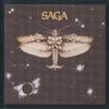 CD SAGA - Saga SPV0767427ACDE Steamhammer 2002 US Rock Used
