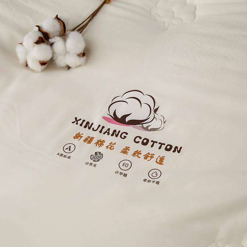 Xinjiang Long-Staple Cotton All-Season Duvet