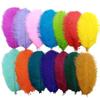 10Pcs Ostrich Feathers Wedding Centerpiece For Needlework Crafts Material DIY Decoration Carnival Headdress Accessories Plumes