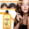 EELHOE Ginger Anti-Hair Fall Shampoo Moisturizing and Repairing Follicle Hair Strengthening Anti-Hair Fall Fixing Shampoo