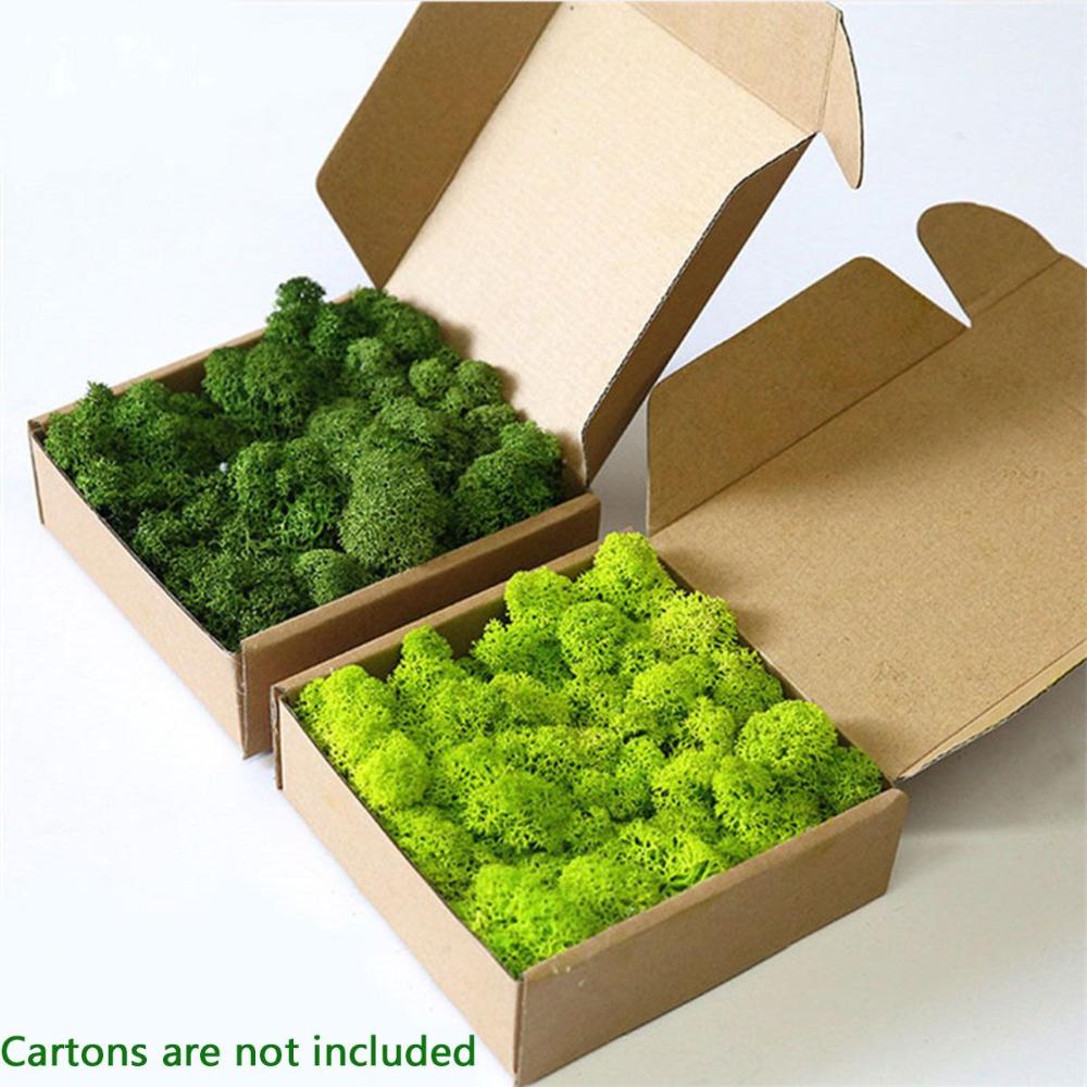 Украшение Рождественский цветок Искусственное растение Мох олений Вечный мох Микроландшафт