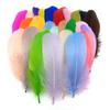 20pcs /Lot Goose Feathers For Crafts Diy Pluams Jewelry Making Wedding Clothing Decoration Accessories Needlework Plumes 15 .20cm