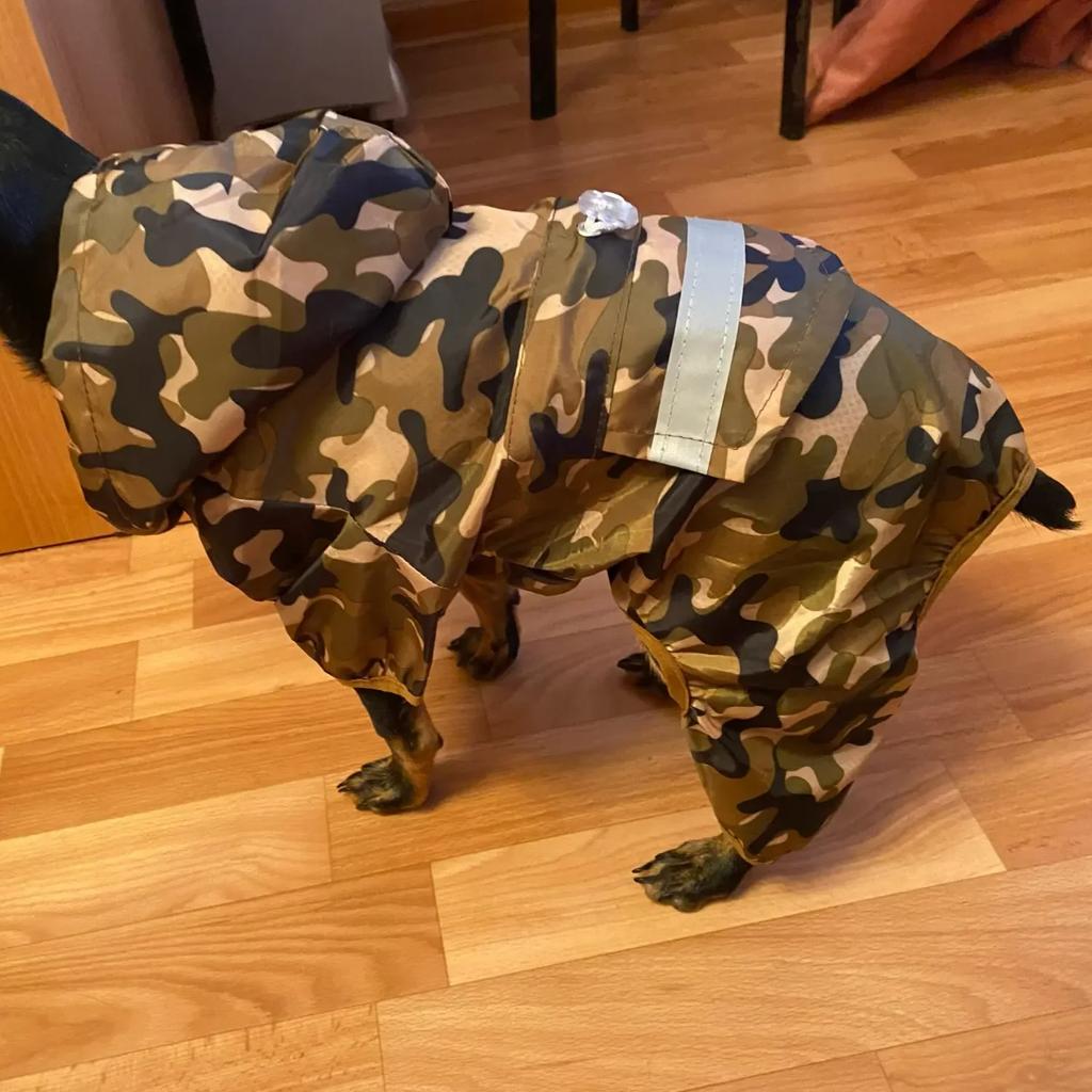 Дождевик для домашних собак, комбинезон с капюшоном, водонепроницаемая одежда для собак, дождевик для маленьких собак, куртка, дождевик