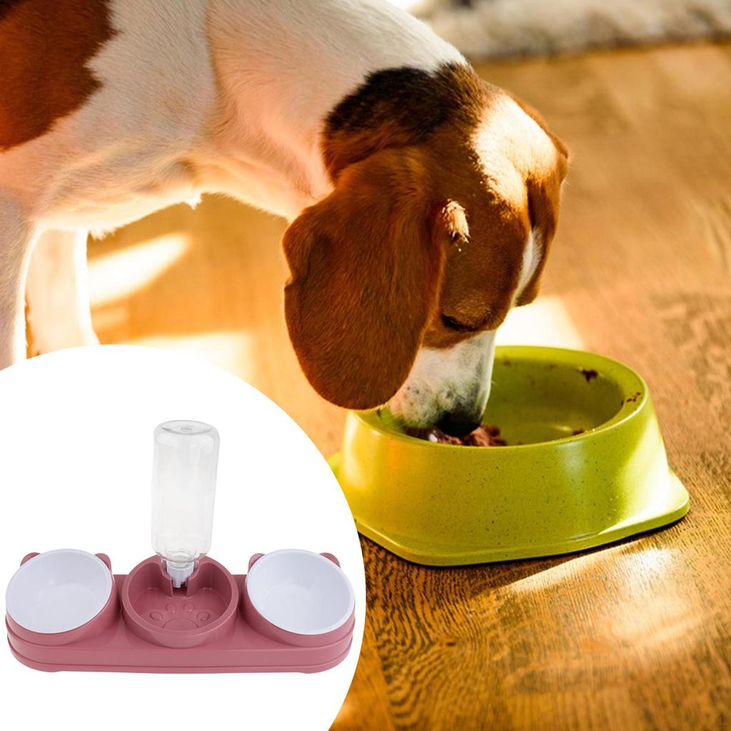 2 Food Bowls and Water Feeder Set Wet Dry Bowl Easy Cleaning Pets Supplies Pet Feeding
