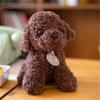 20CM Cute Teddy Dog Plush Toy Curly Dog Doll With Hanging Tag Simulation Dog To Send Children's Birthday Gift