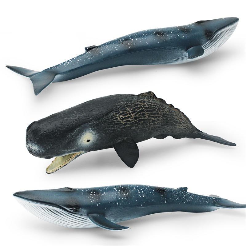 Simulation Of Marine Animals 2 Whale Models Children'S Cognition Of Underwater Creatures Sperm Whale Blue Whale Static Ornament