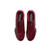 Nike Кроссовки унисекс Tiempo Legend 9 Elite AG Pro Team Red Bright Crimson Mystic-Hibiscus White DB0824-616