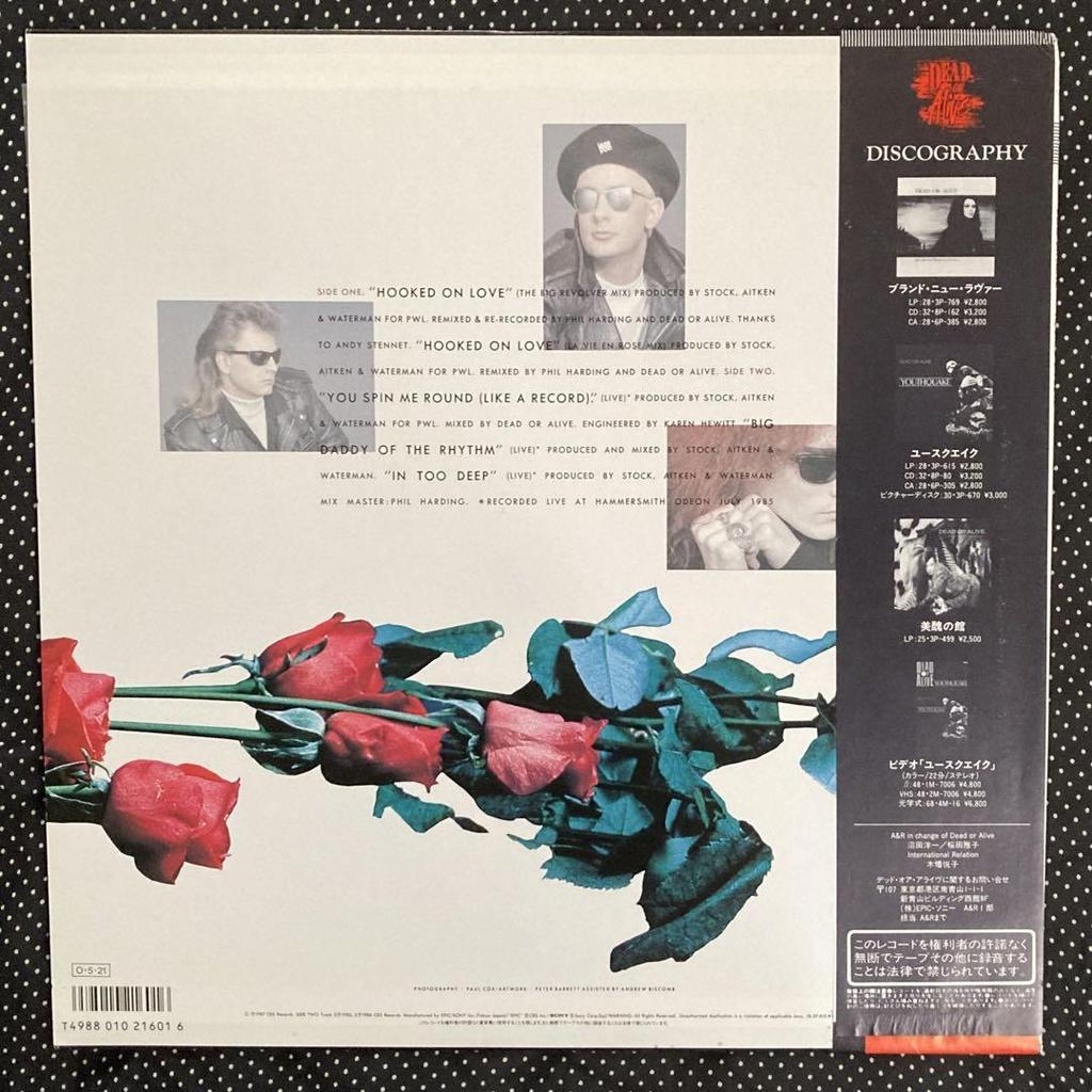[USED] Dead Or Alive Domestic 12-inch Records x 2
