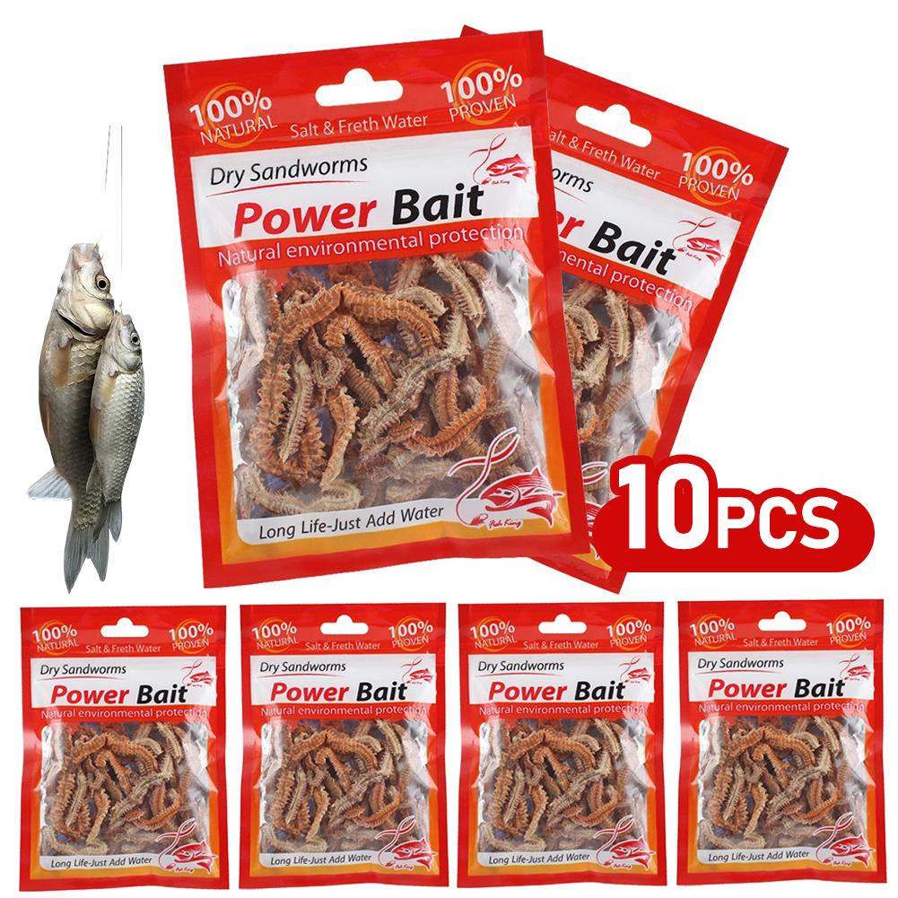 Lifelike Dry Lugworm Sandworms Fishing Lures Saltwater Freshwater Feeder Sea Fishing Worms Smell Soft Artificial Bait Lures