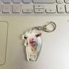 Huh Cat Rambling Goat Keychain Cat Pendant Confused Cat Memes Key Chain  Backpack Pendant